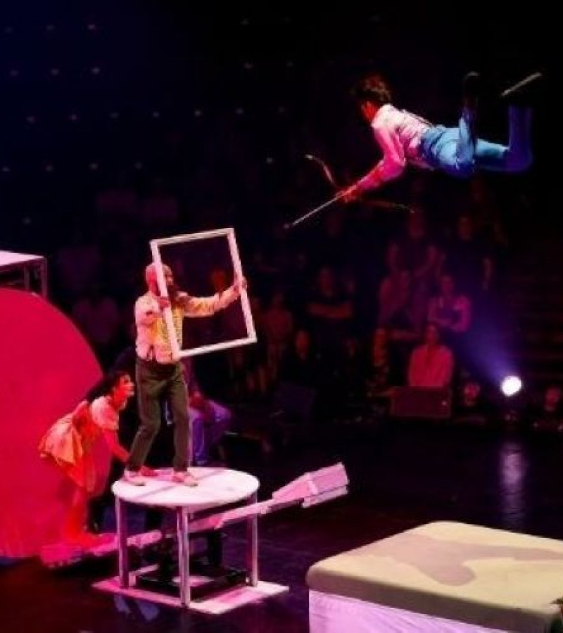 La Noce d'Alfonse - Cirque Alfonse